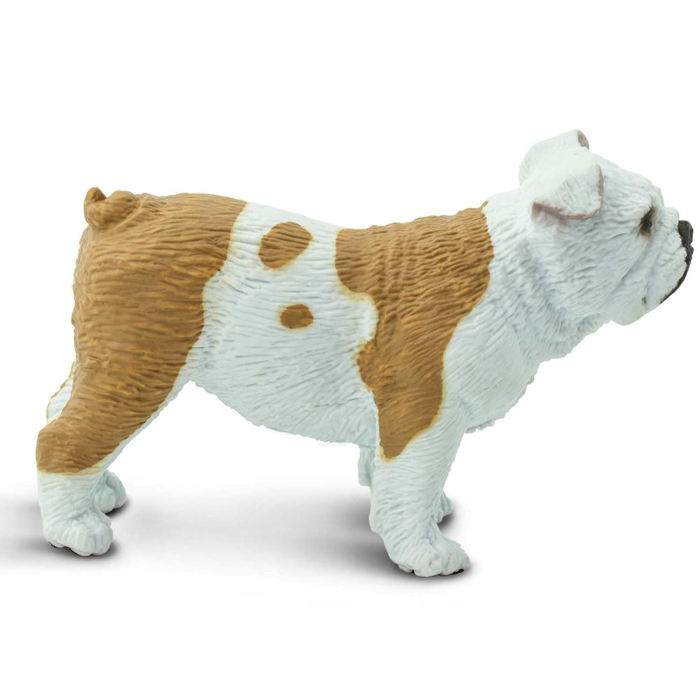Safari Ltd Bulldog figurine with hangtag providing quick educational context