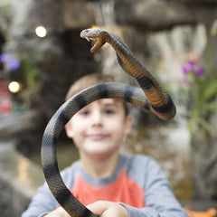 Safari Ltd Cobra figurine highlights hood with U mark for visual identification and storytelling.