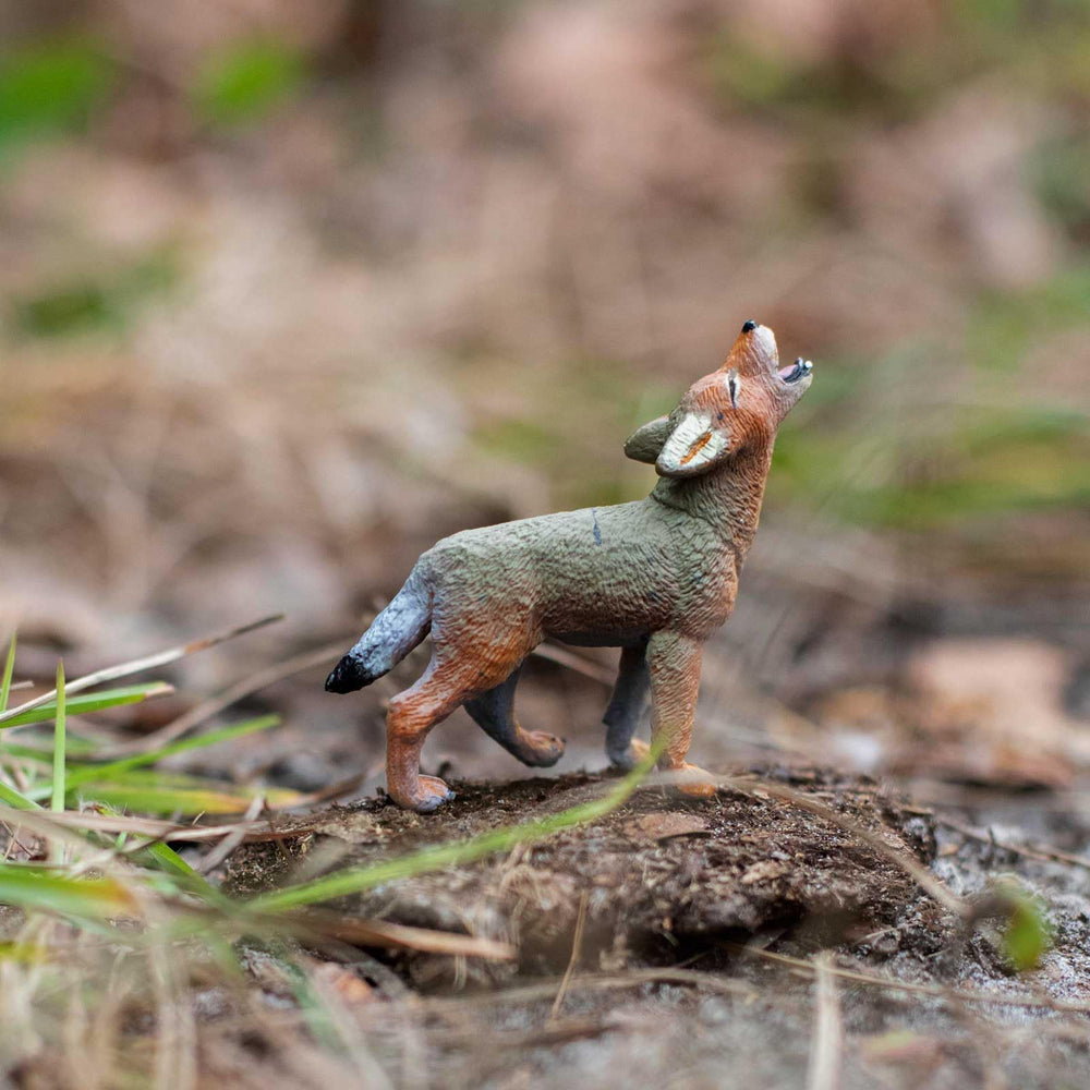 Safari Ltd. Coyote Pup painted texture for realistic display and learning