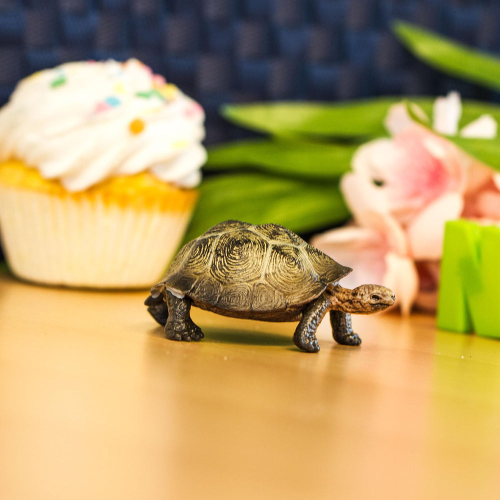 Safari Ltd. Desert Tortoise educational hangtag included for multilingual learning.