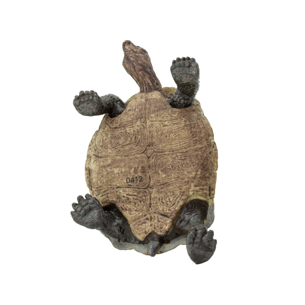 Safari Ltd. Desert Tortoise paint detail reveals craftsmanship and color.