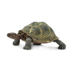 Safari Ltd. Desert Tortoise side-view, ideal for realistic study.