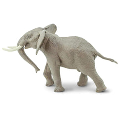 Safari Ltd educational hangtag multi-language supports multilingual learning.