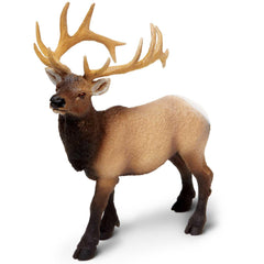 Antlers and body texture support wildlife storytelling and learning.