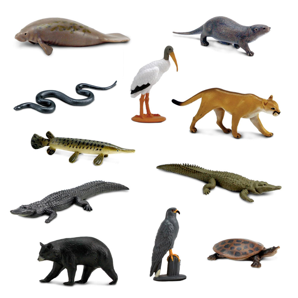 Safari Ltd. Everglades TOOB Snail Kite figure fosters bird behavior curiosity and identification