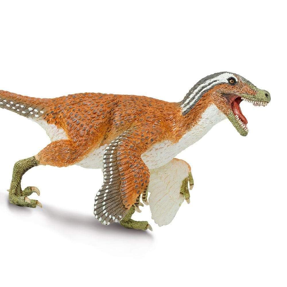 Safari Ltd feathered Velociraptor toy shows sharp claws for realistic prehistoric detail.