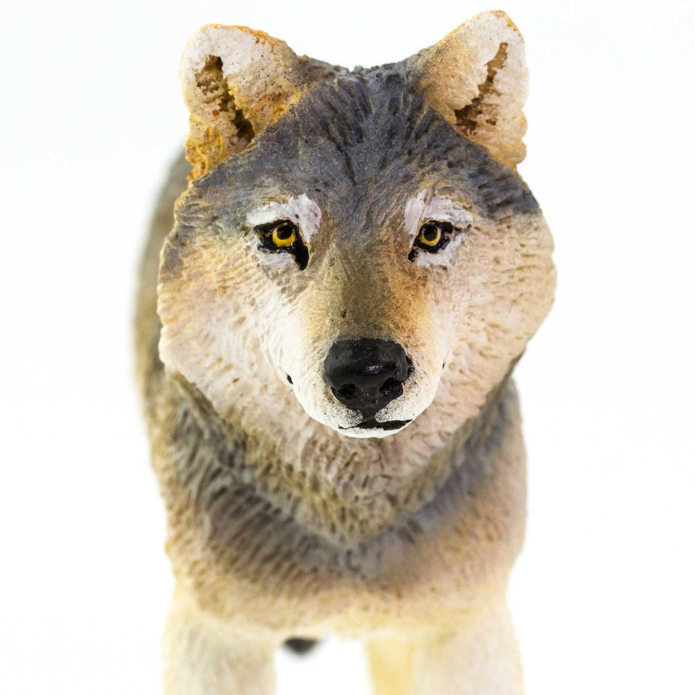 Safari Ltd. Gray Wolf Figurine educational toy for North American wildlife learning.