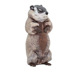Safari Ltd groundhog dimensions 4.5-inch tall and 2.5-inch long.