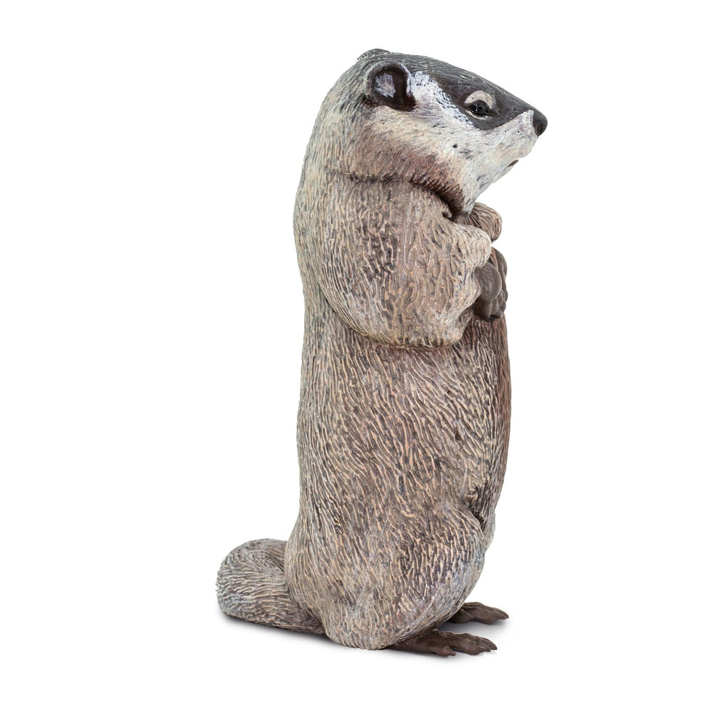 Safari Ltd groundhog safe materials ensure non-toxic play for curious toddlers.