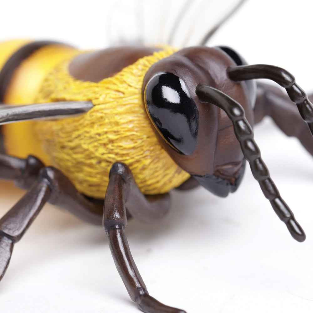 Safari Ltd Honey Bee figurine in classroom setting for learning