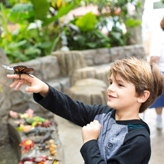 Safari Ltd Monarch Butterfly figurine part of Incredible Creatures Collection inspires curiosity.