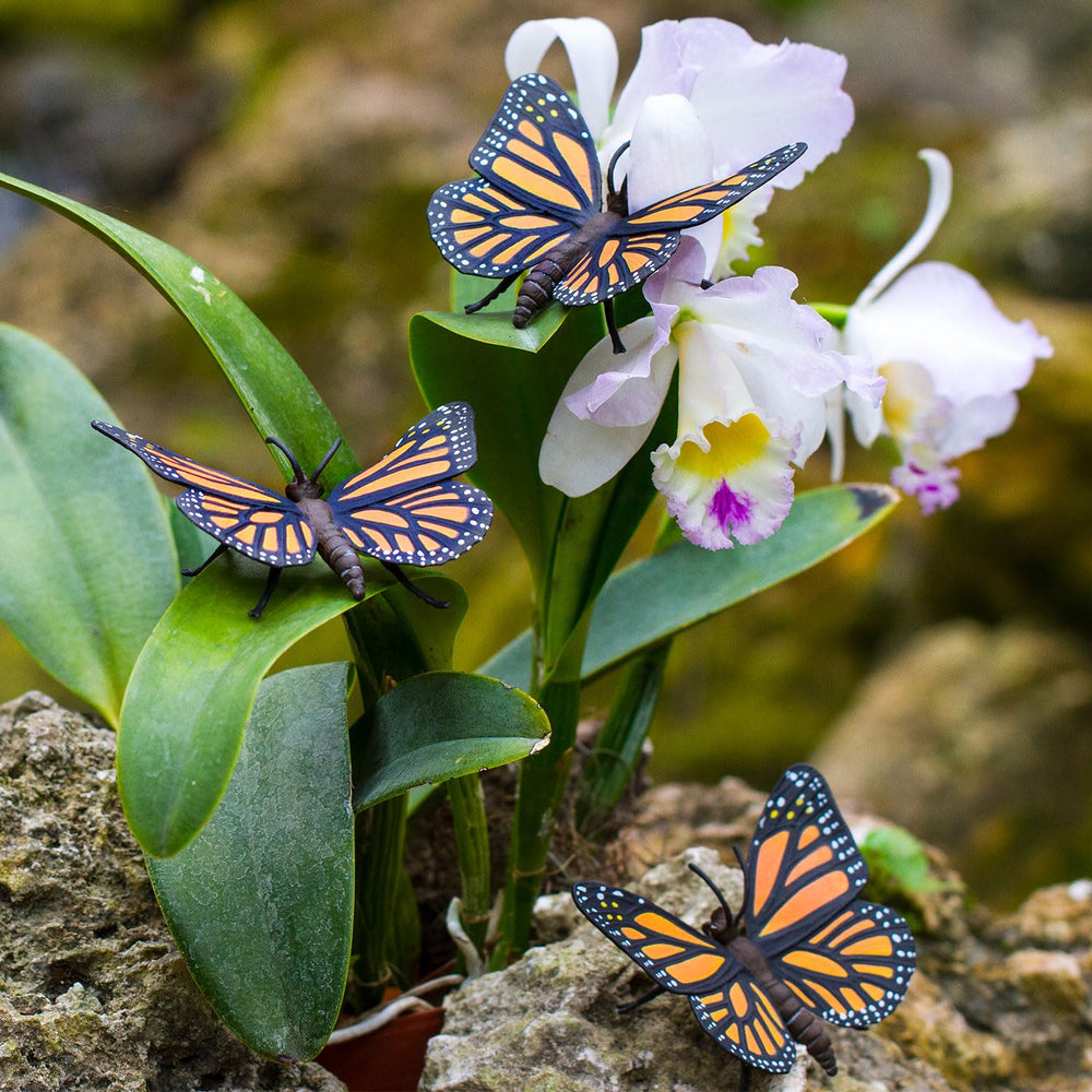 Safari Ltd Monarch Butterfly figurine size reference helps compare with real specimens.