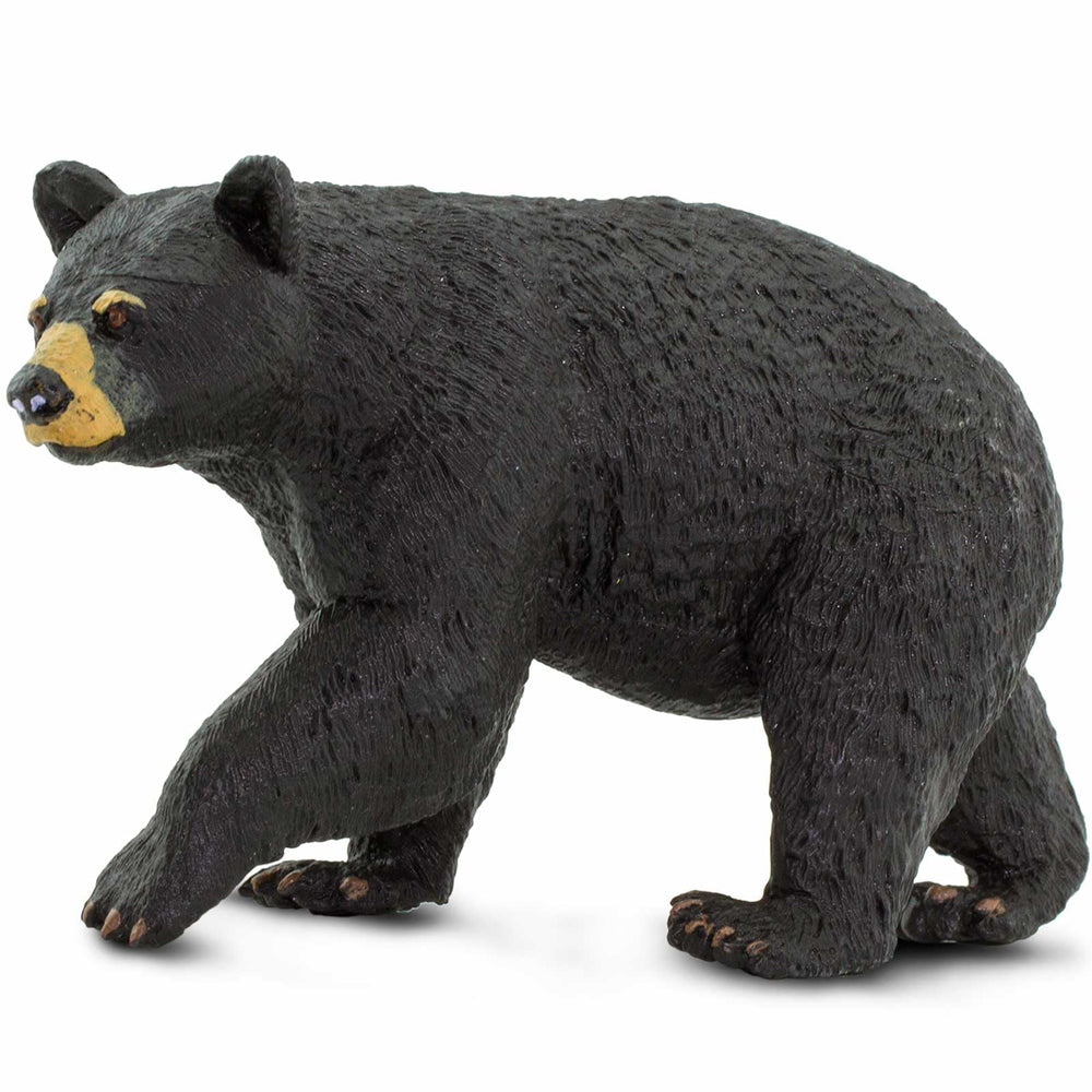 Safari Ltd. North American Black Bear figurine front view with detailed hand-painted finish for display.