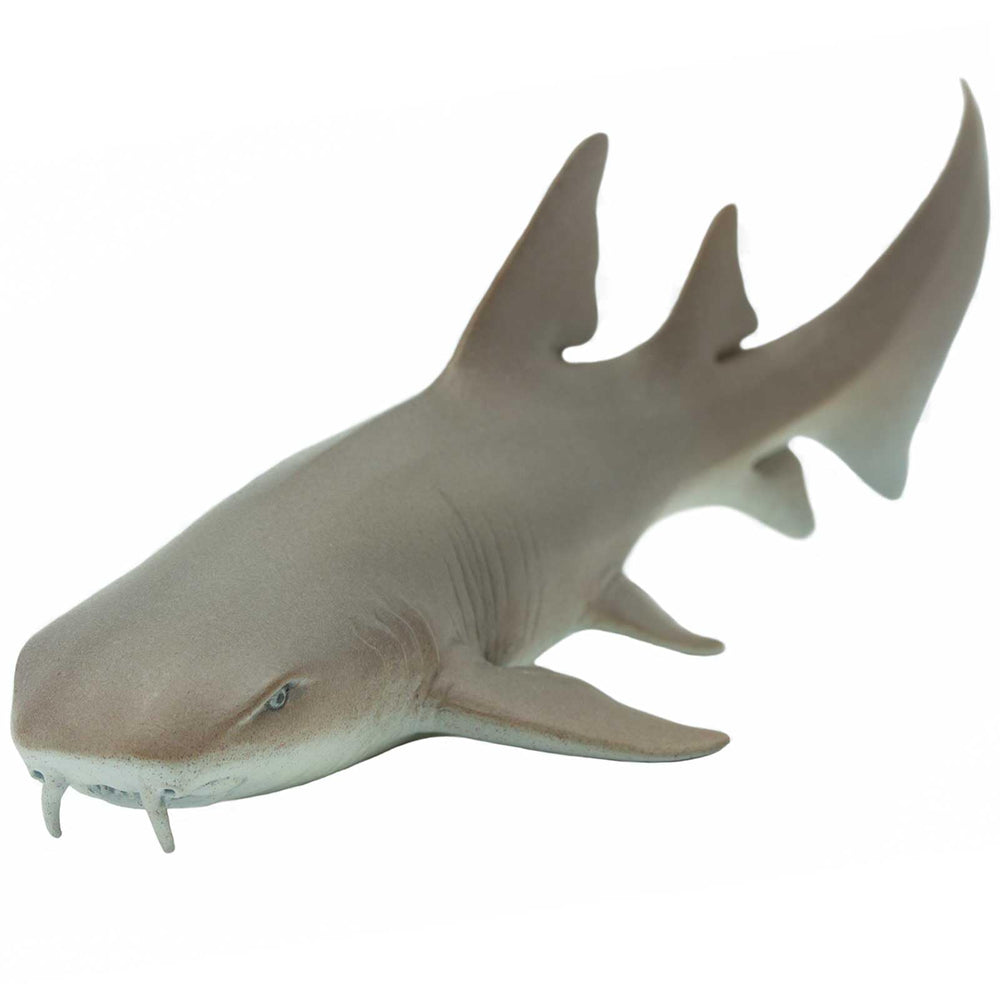 Safari Ltd Nurse Shark figurine full body for classroom displays and imaginative play