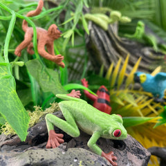 Safari Ltd Rainforest Toob Poison Dart Frog for vibrant color and classroom use