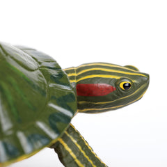 Safari Ltd red-eared slider turtle figurine detailed-sculpture for accurate animal study
