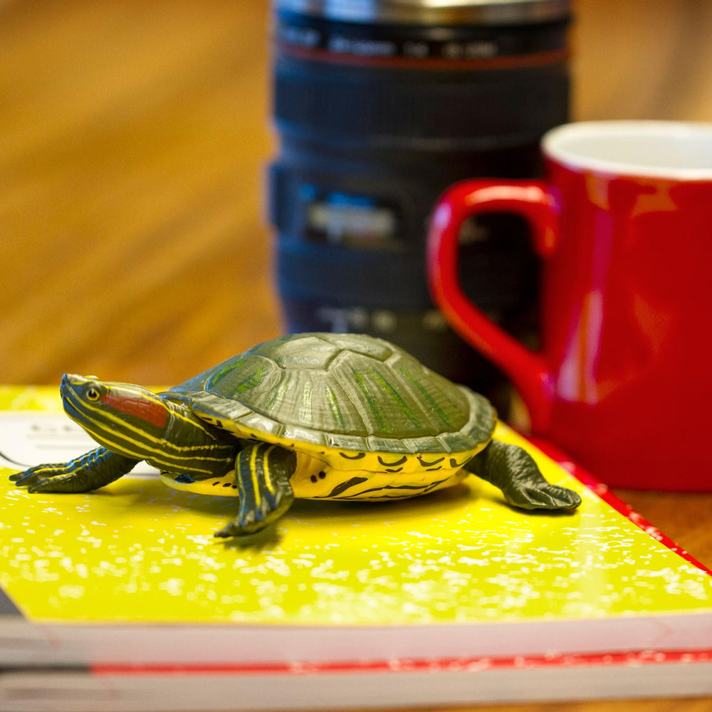 Safari Ltd red-eared slider turtle figurine display-ready enhances desk decor and learning cues