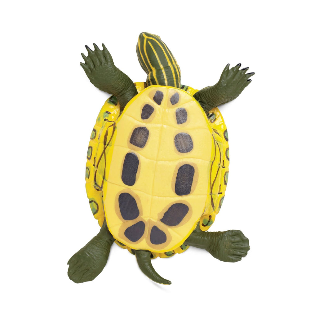 Safari Ltd red-eared slider turtle figurine packaging, ready for gifting and classroom use