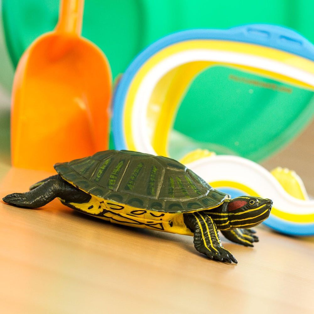 Safari Ltd red-eared slider turtle figurine playtime promotes storytelling and tactile exploration