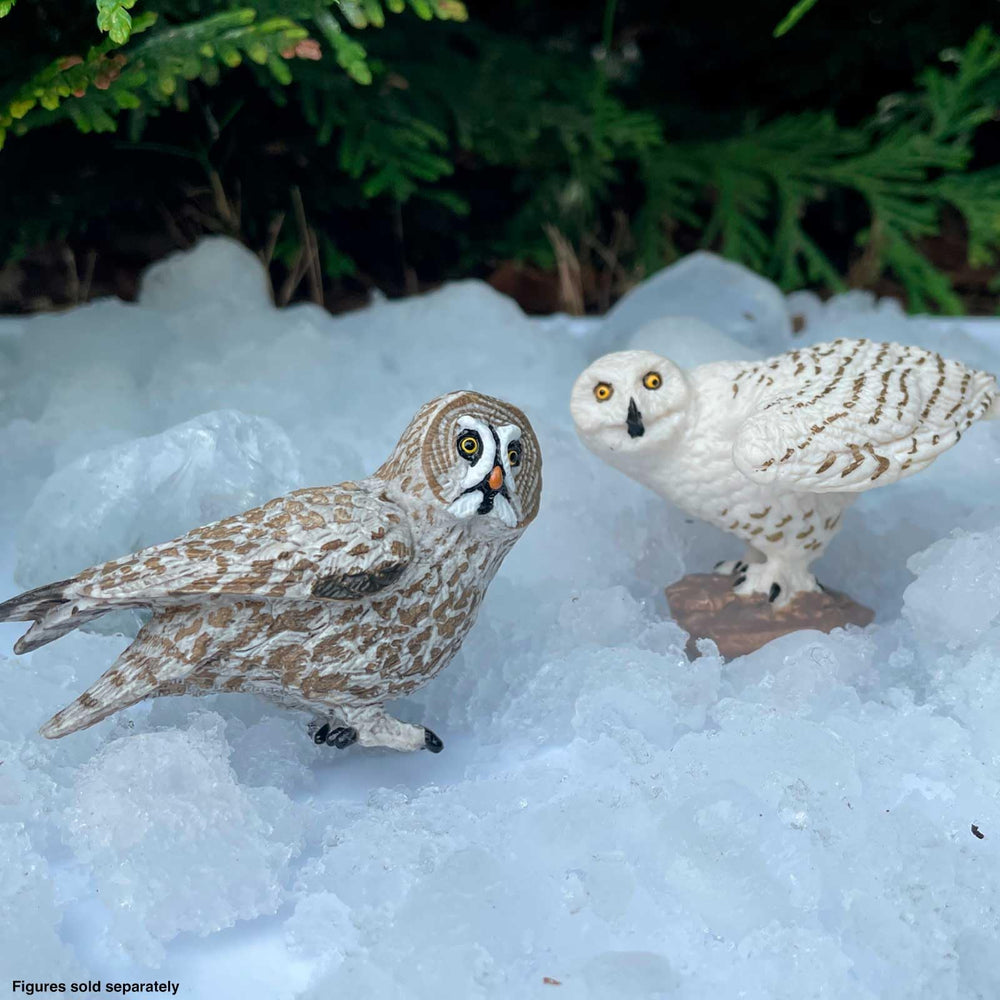 Safari Ltd Snowy Owl figurine closeup hand-painted highlights authentic feathers for learning