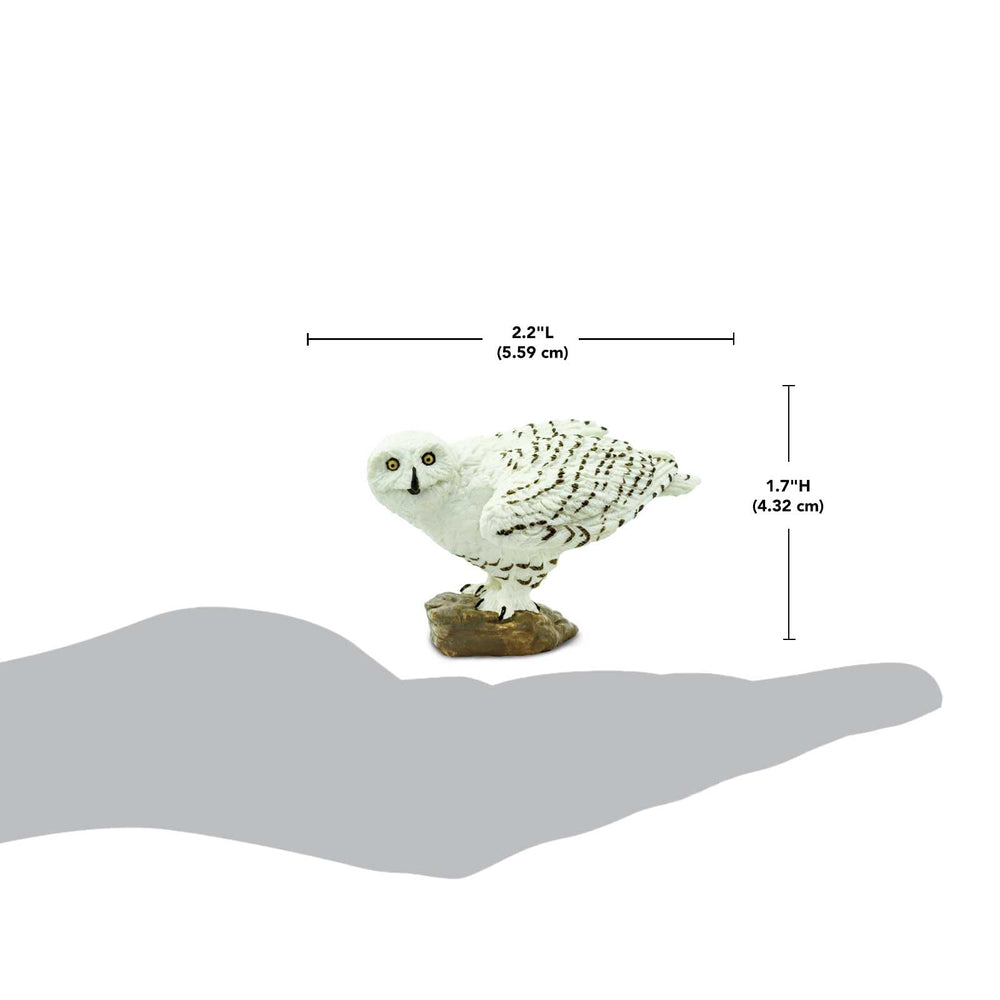 Safari Ltd Snowy Owl figurine in natural environment prompts Arctic wildlife storytelling