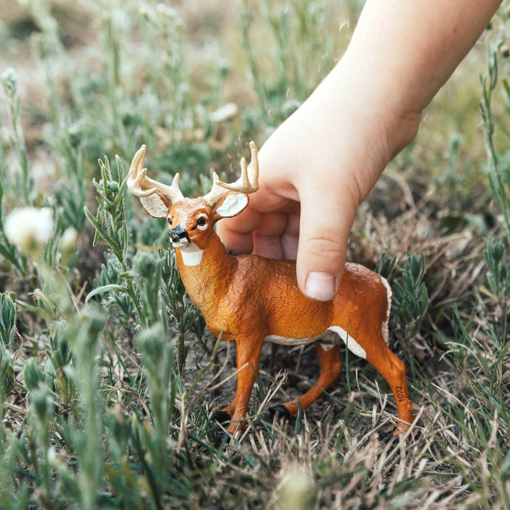 Safari Ltd. Whitetail Buck figurine texture close-up showcases lifelike fur.