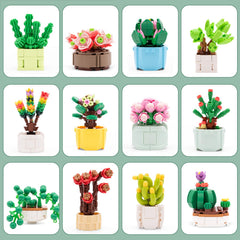 Sathibi bonsai-like succulent blocks showcase textures for a soothing workspace.