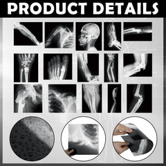 Sayglossy PVC X-ray pieces designed as durable teaching tools