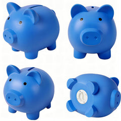 Sbrvaniy piggy bank comes in gift-ready packaging