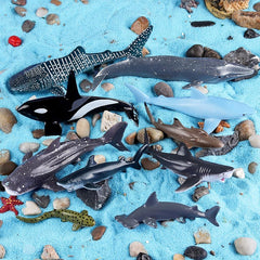 SCAHOW dolphin figure ideal for bath time and shelves