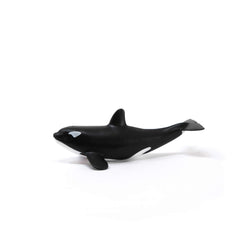 Schleich Baby Orca in child's hand supports safe, open-ended play.