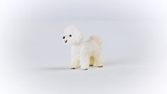 Schleich Farm World Bichon Frise figurine in a playful farm scene to spark storytelling.