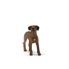 Schleich Rhodesian Ridgeback figure in a posed stance for imaginative storytelling.