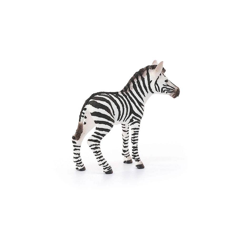 Schleich Zebra Foal with Ranger Tom for story-driven play.