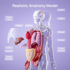 Science Can anatomy book with illustrations supports school projects and study