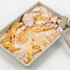 Science4you Triceratops gypsum fossil revealing bones during digging