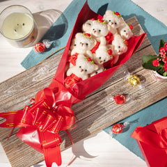 SCS Direct ready-to-gift presentation in a red box, no wrapping required.