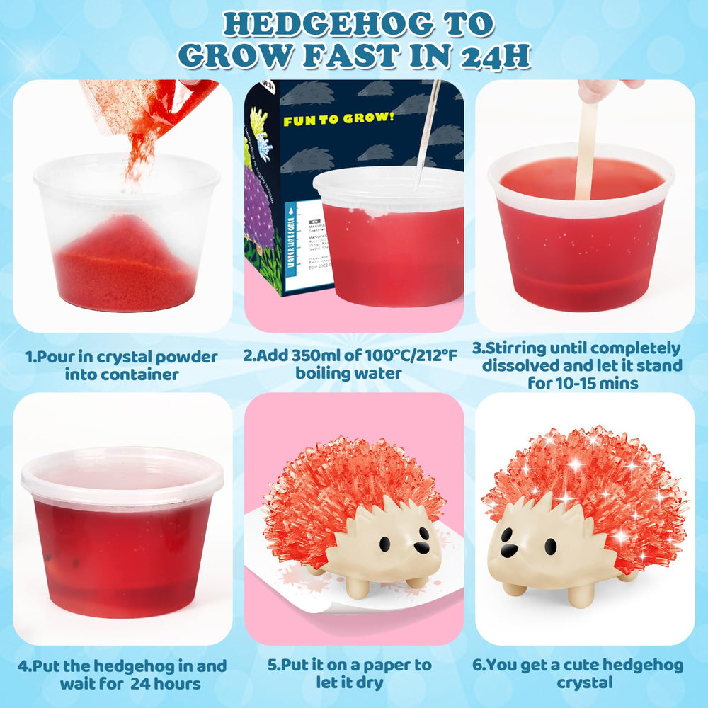 sdaymol Crystal Growing Kit: four plastic containers for crystal growth.