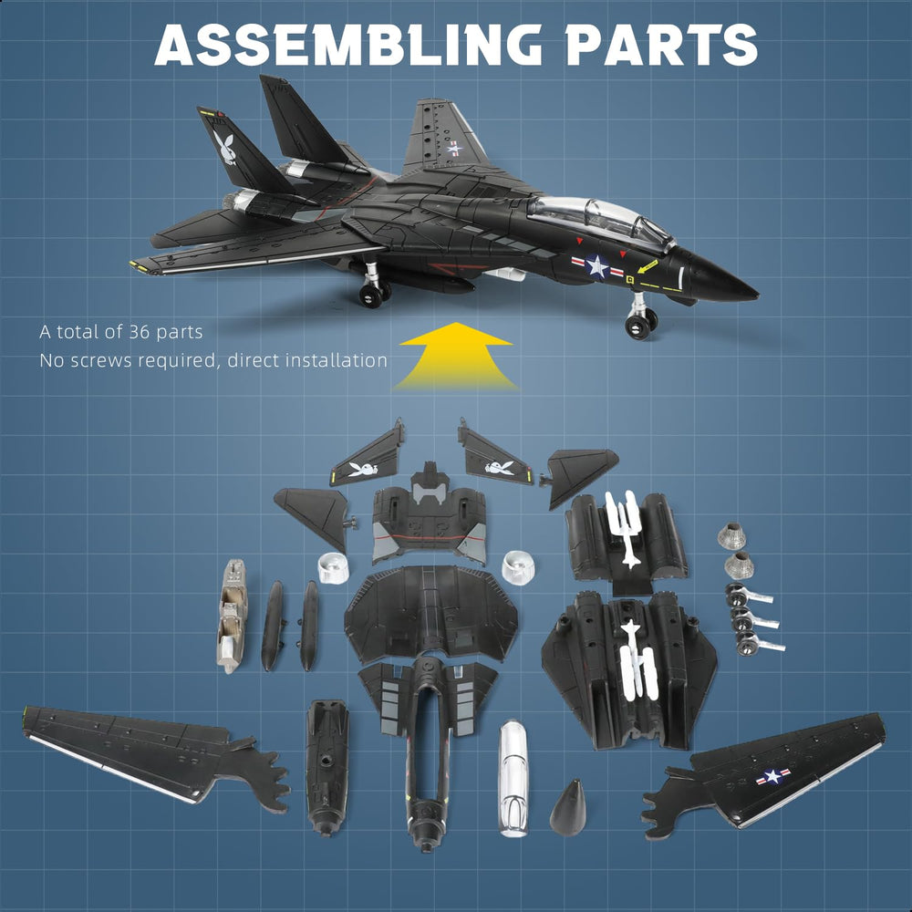 SEBUNAS F-14 Tomcat model on display stand for easy posing