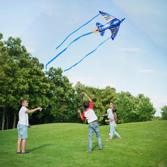 SGftre airplane kite ships in compact packaging for easy storage.