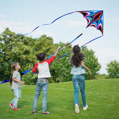 SGftre blue large delta kite built with durable fiberglass rods.