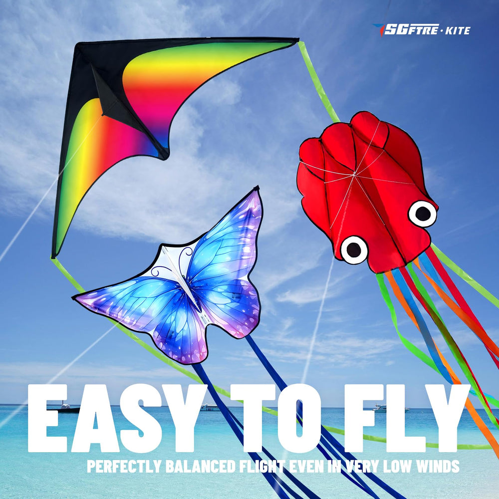 SGftre Three-piece kite set shown for family fly-alongs.