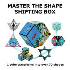 Shashibo four-pack gift box ready for sharing and gifting.