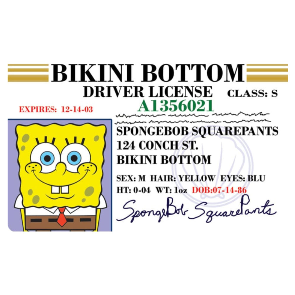 Signs 4 Fun parody driver’s license Spongebob ID front view for playful conversations
