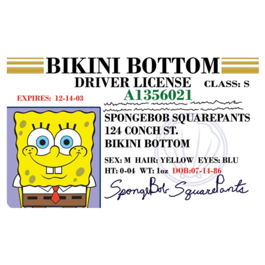 Signs 4 Fun parody driverβs license Spongebob ID front view for playful conversations
