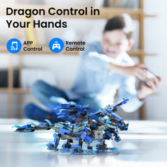 Sillbird Dragon 3-in-1 models with detailed wings and head