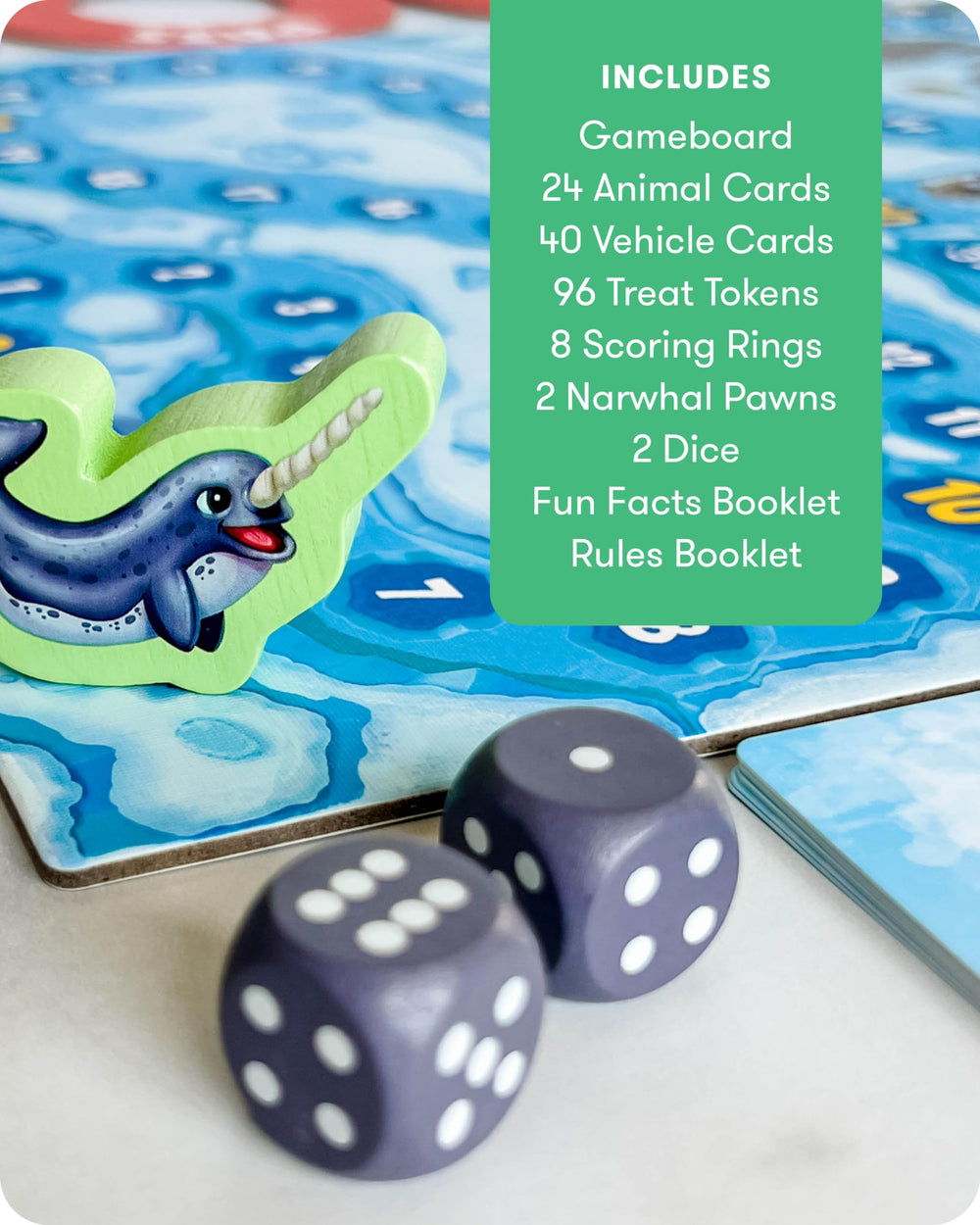 SimplyFun Arctic Riders cards verify answers for independent or cooperative play