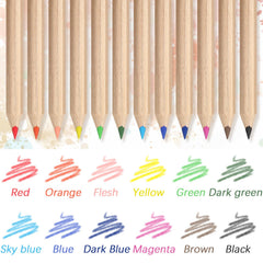 Sinload kid-friendly art set ideal for classroom and home projects.