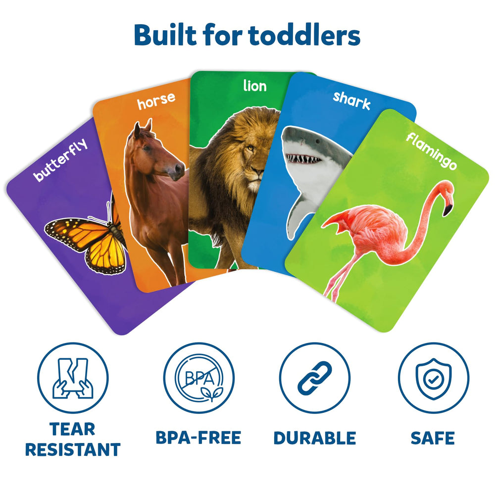 Skillmatics thick flash cards illustrating birds for noticing details and habitats.