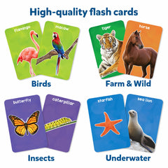 Skillmatics thick flash cards featuring underwater animals for immersive sensory exploration.